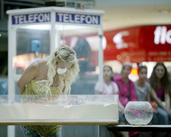 Telefon Kulübesi